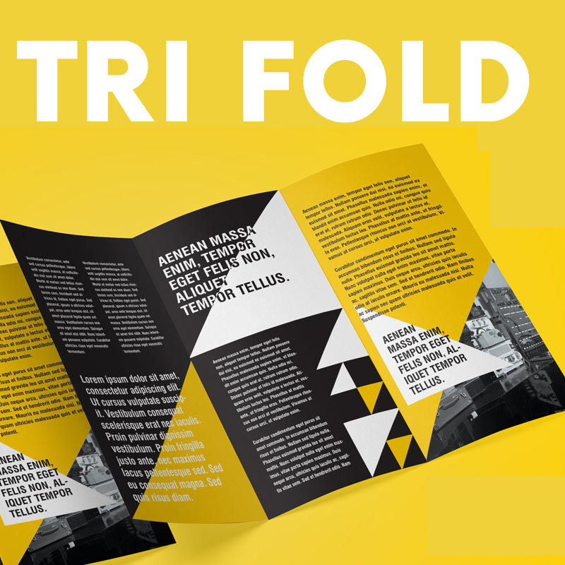 trifold design